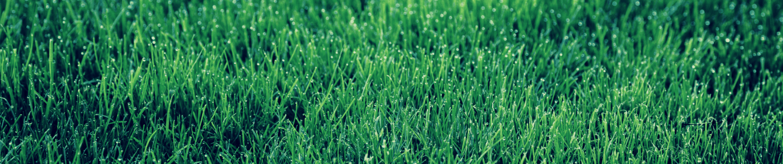 Grasbanner