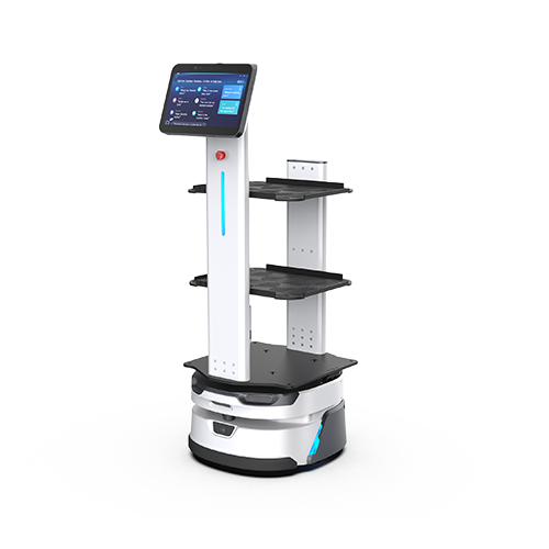 CarryBot – Transport & Intralogistik bei Mister Robot
