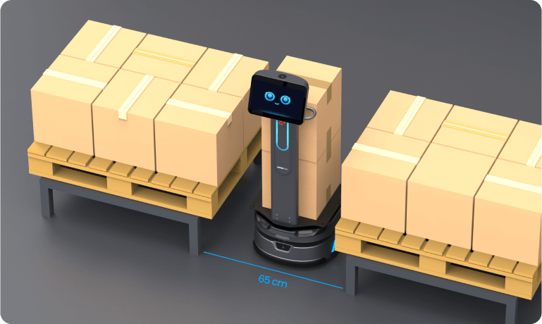CarryBot – Transport & Intralogistik bei Mister Robot