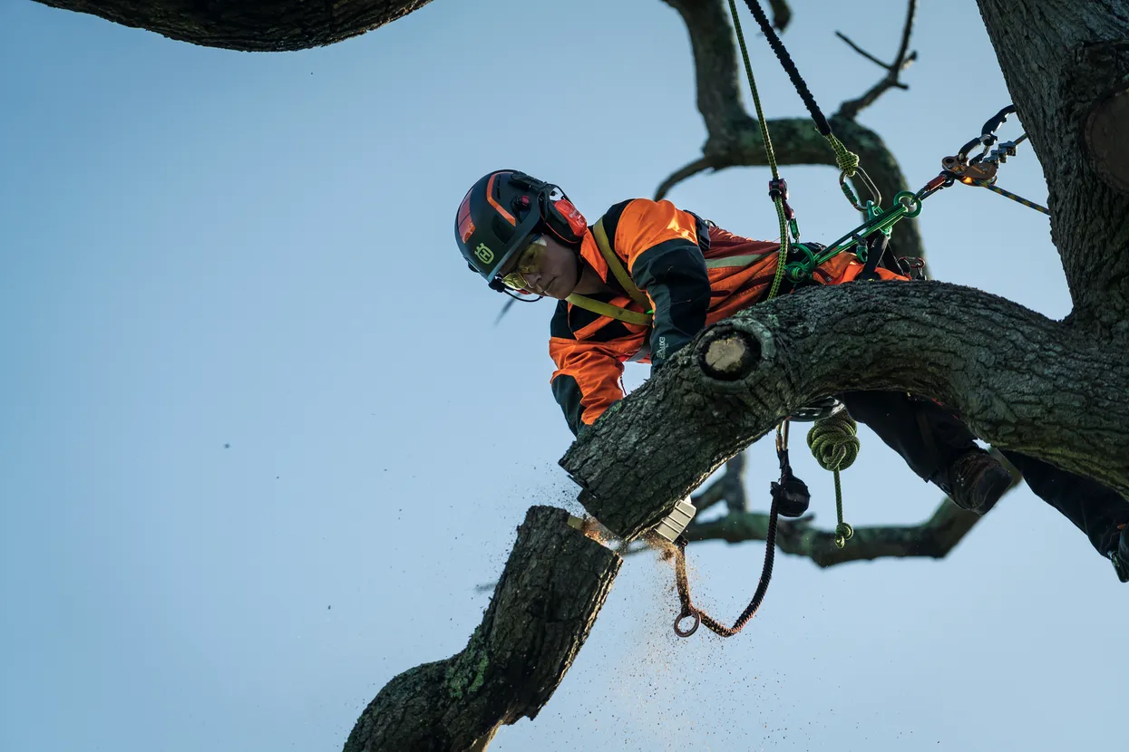 Husqvarna T540i XP® Profi-Akku-Baumpflegesäge – Bild 2