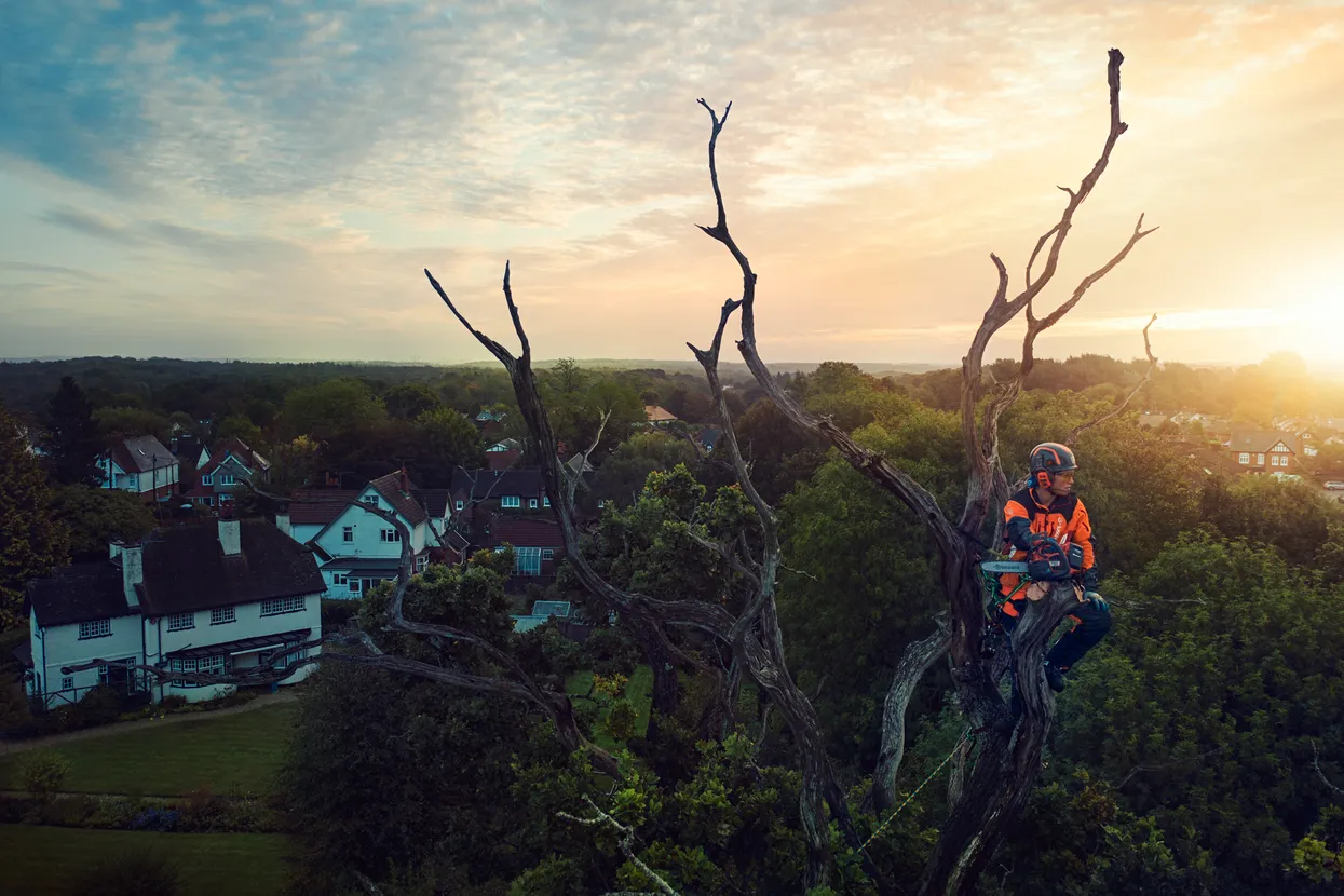 Husqvarna T540i XP® Profi-Akku-Baumpflegesäge – Bild 3